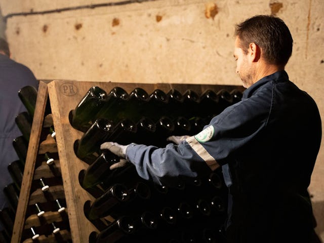 Die sogenannten «Rüttler» sorgen dafür, dass sich die Hefe im Flaschenhals sammelt.