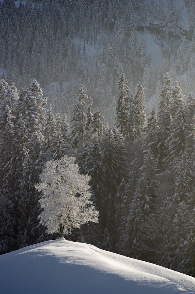 Bergwaldbaden im Hilfernthal