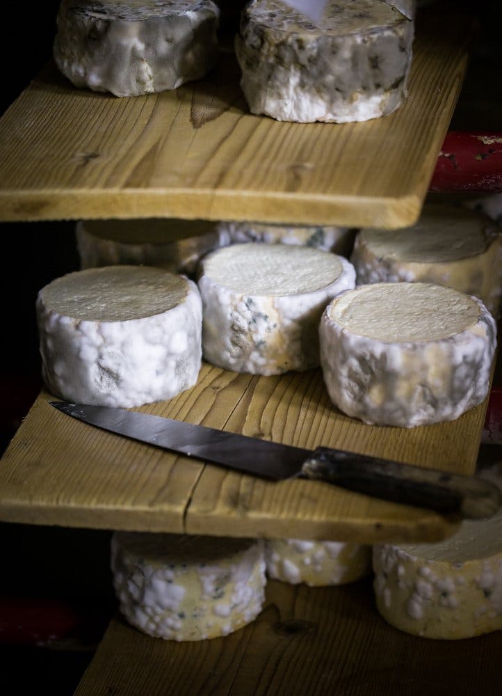 Der weisse Edelschimmel trägt entscheidend zum Geschmack bei.