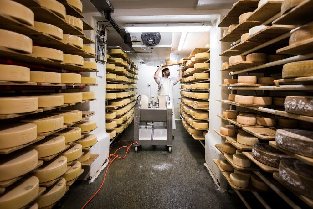 Der Chef beim Affinieren im Käsekeller.
