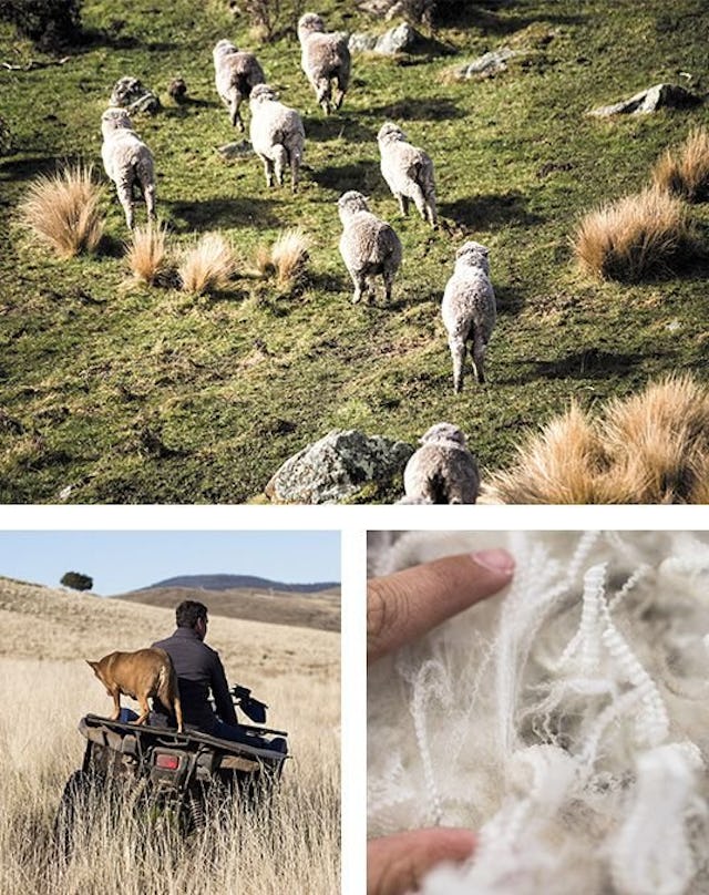 Besonders nachhaltig: Die Merinowolle braucht nur sechs Monate, um sich vollständig biologisch abzubauen. Besonders nachhaltig: Die Merinowolle braucht nur sechs Monate, um sich vollständig biologisch abzubauen.
