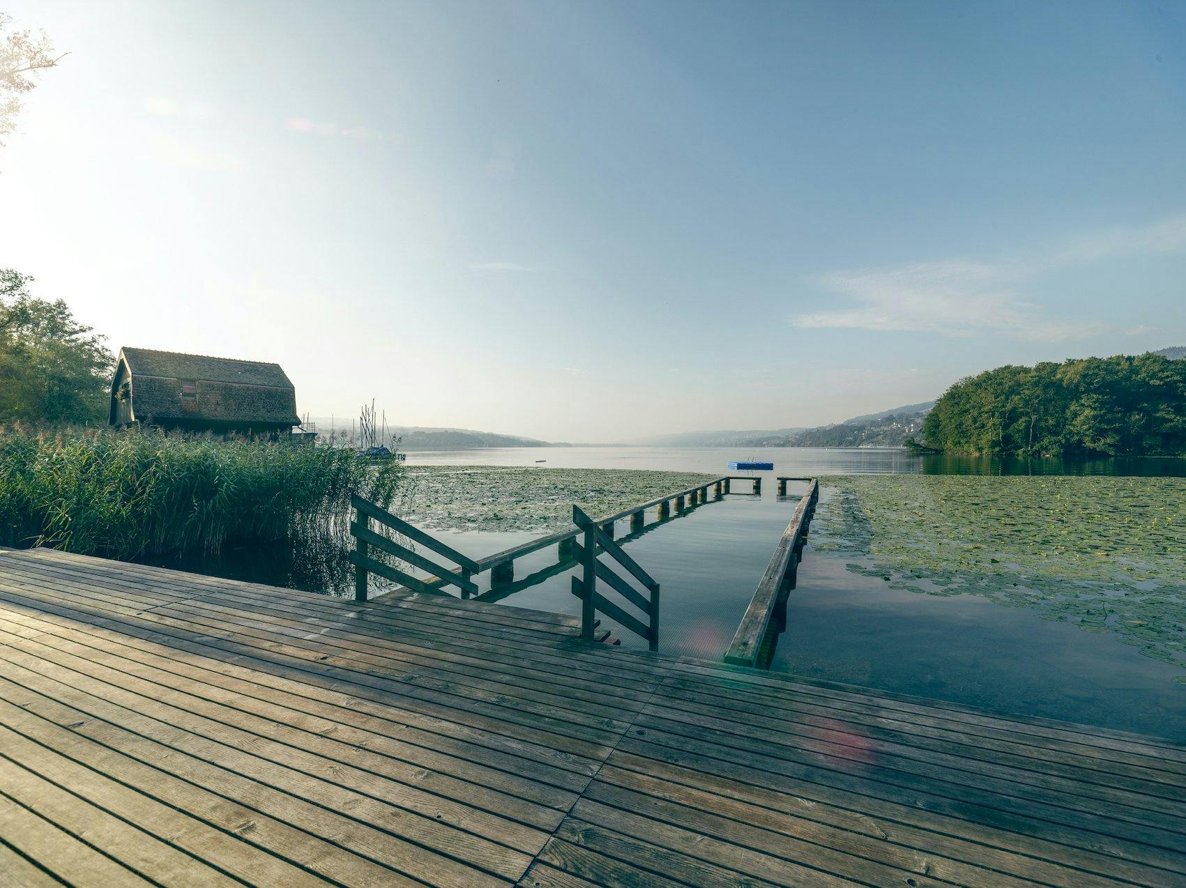 Baden zwischen Seerosen in der Badi Seengen