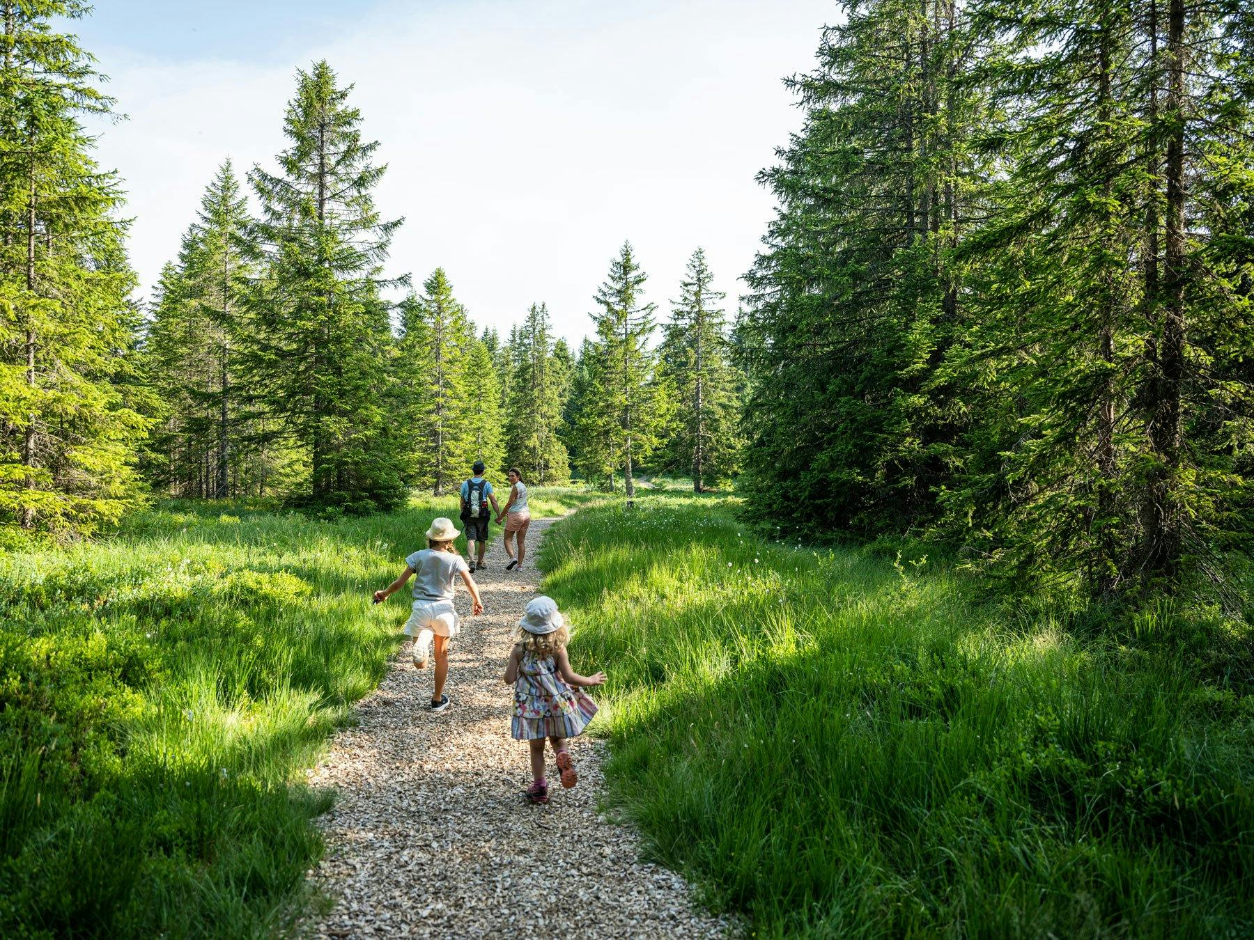 Familienwanderung in Les Paccots.